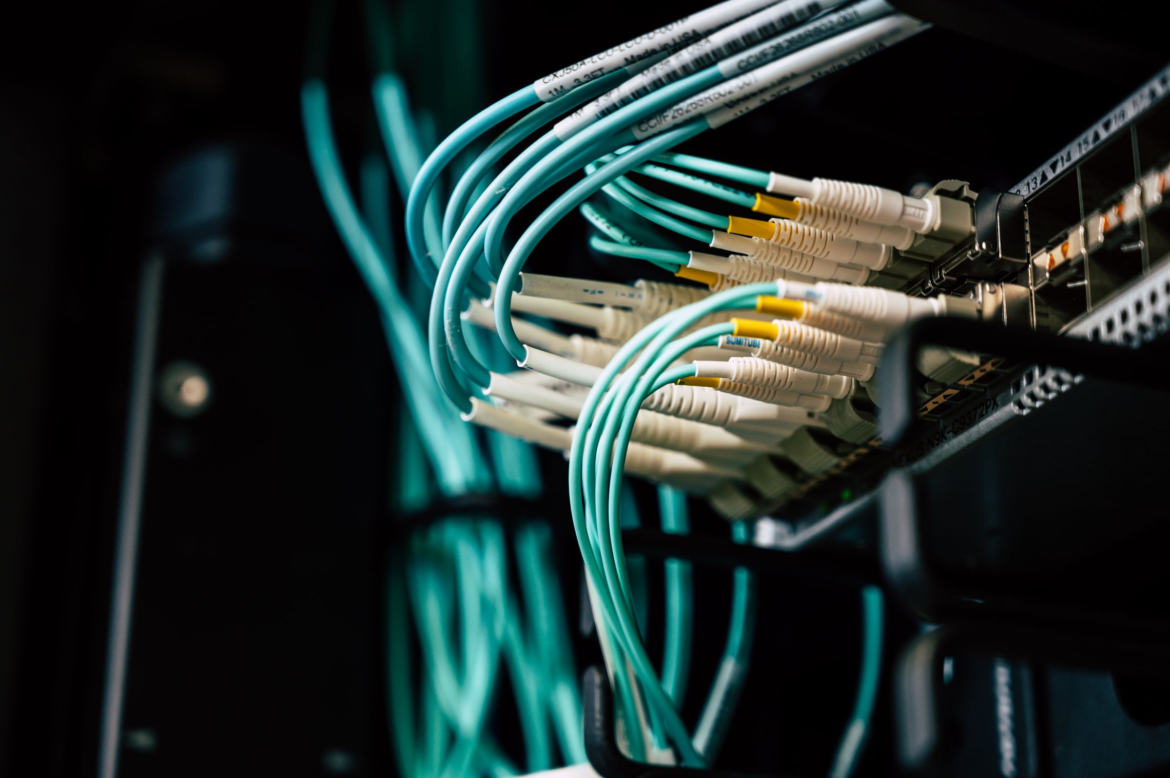 Switch de red y cableado